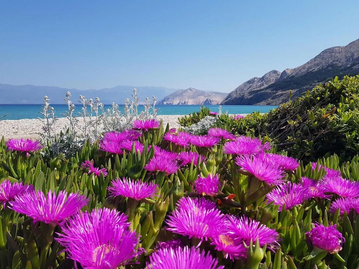 Apartment Studio Rozman Beach Baska